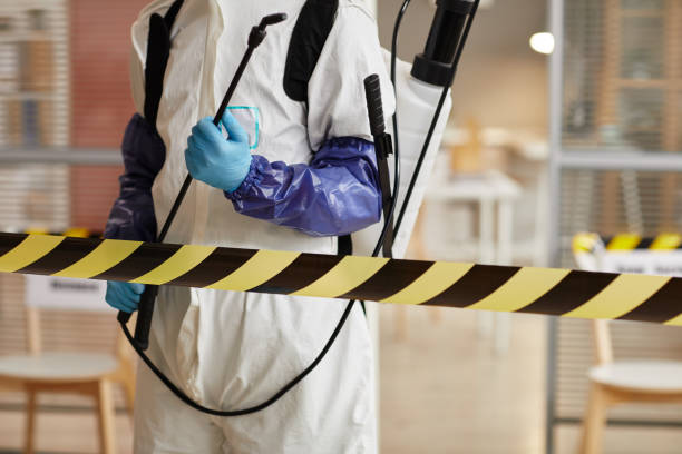 Professional Odor Removal technician working in Roanoke, IL